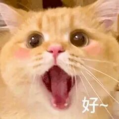 前某鱼娱乐区一姐回归仍是顶流，大哥约其线下唱歌被拒绝后，大哥直言：两个华子都不愿意？还不如去商K！